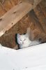 Filename=IAATA_7595.jpg
Filesize=112KiB
Dimensions=648x972
Date added=Sep 13, 2017 IAATA_7595.jpg