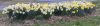 Filename=JenSHepley1.jpg
Filesize=602KiB
Dimensions=2700x720
Date added=Apr 17, 2024 JenSHepley1.jpg