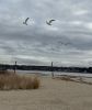 Filename=JenShepley_6188.jpg
Filesize=77KiB
Dimensions=609x720
Date added=Dec 31, 2024 JenShepley_6188.jpg
