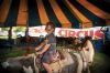 Filename=KM_Circus_f_5.jpg
Filesize=79KiB
Dimensions=648x430
Date added=Jul 04, 2014 KM_Circus_f_5.jpg