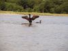 Kayak-081822-010.jpg