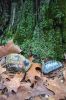 Filename=KindnessRocks_0483.jpg
Filesize=295KiB
Dimensions=648x972
Date added=Jan 25, 2017 KindnessRocks_0483.jpg