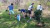 Filename=LandTrust2.jpg
Filesize=117KiB
Dimensions=648x365
Date added=Jun 19, 2014 LandTrust2.jpg