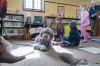 Filename=Library_F_3.jpg
Filesize=98KiB
Dimensions=648x430
Date added=Feb 05, 2014 Library_F_3.jpg