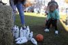 Filename=LionsFunFair_4571.jpg
Filesize=225KiB
Dimensions=1080x720
Date added=Nov 07, 2018 LionsFunFair_4571.jpg
