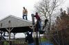 Filename=Lions_2.jpg
Filesize=149KiB
Dimensions=864x572
Date added=May 01, 2013 Lions_2.jpg