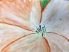 Filename=MAC_student-1.jpg
Filesize=109KiB
Dimensions=960x720
Date added=Feb 01, 2017 MAC_student-1.jpg