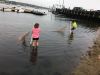 Filename=MNHM_0970.jpg
Filesize=126KiB
Dimensions=960x720
Date added=Oct 03, 2018 MNHM_0970.jpg