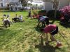 Filename=MNHM_1493.jpg
Filesize=233KiB
Dimensions=960x720
Date added=May 10, 2018 MNHM_1493.jpg