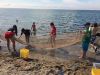 Filename=MNHM_4031.jpg
Filesize=191KiB
Dimensions=960x720
Date added=Aug 08, 2018 MNHM_4031.jpg