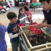 Filename=MNHM_8879.jpg
Filesize=137KiB
Dimensions=720x720
Date added=Dec 20, 2017 MNHM_8879.jpg