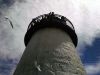Filename=MNHM_BirdIsland031.jpg
Filesize=126KiB
Dimensions=960x720
Date added=May 25, 2016 MNHM_BirdIsland031.jpg