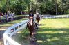 Filename=MRhorseShow_8021.jpg
Filesize=211KiB
Dimensions=864x576
Date added=Jul 11, 2013 MRhorseShow_8021.jpg