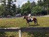 Filename=MRhorse_e_2362.jpg
Filesize=288KiB
Dimensions=960x720
Date added=Jul 11, 2018 MRhorse_e_2362.jpg