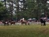 Filename=MRhorse_e_2368.jpg
Filesize=274KiB
Dimensions=960x720
Date added=Jul 11, 2018 MRhorse_e_2368.jpg