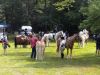 Filename=MRhorse_m_2766.jpg
Filesize=263KiB
Dimensions=960x720
Date added=Jul 11, 2018 MRhorse_m_2766.jpg