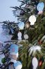 Filename=MTchristmas_1471.jpg
Filesize=124KiB
Dimensions=480x720
Date added=Dec 14, 2017 MTchristmas_1471.jpg