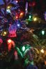 Filename=MTchristmas_1538.jpg
Filesize=123KiB
Dimensions=480x720
Date added=Dec 14, 2017 MTchristmas_1538.jpg