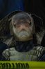 Filename=MThallo_6.jpg
Filesize=133KiB
Dimensions=864x1301
Date added=Nov 01, 2013 MThallo_6.jpg