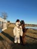 MTholidayPark_0458.jpg