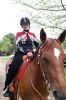 Filename=MarioHorse2015_9121.jpg
Filesize=107KiB
Dimensions=479x720
Date added=Jul 09, 2015 MarioHorse2015_9121.jpg