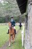 Filename=MarioHorse2015_9140.jpg
Filesize=137KiB
Dimensions=479x720
Date added=Jul 09, 2015 MarioHorse2015_9140.jpg