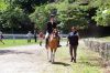 Filename=MarionHorseShow_7611.jpg
Filesize=314KiB
Dimensions=1082x720
Date added=Jul 07, 2016 MarionHorseShow_7611.jpg