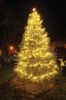 Filename=MarionTree-12.jpg
Filesize=186KiB
Dimensions=648x976
Date added=Dec 17, 2014 MarionTree-12.jpg