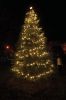 Filename=MarionTree-13.jpg
Filesize=132KiB
Dimensions=648x976
Date added=Dec 17, 2014 MarionTree-13.jpg