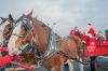 Filename=MarionXmas_19.jpg
Filesize=75KiB
Dimensions=648x430
Date added=Dec 17, 2013 MarionXmas_19.jpg