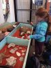 Filename=Museum_8764.jpg
Filesize=110KiB
Dimensions=540x720
Date added=Mar 23, 2022 Museum_8764.jpg