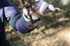 Filename=MushroomWalk_4.jpg
Filesize=129KiB
Dimensions=1080x720
Date added=Oct 26, 2016 MushroomWalk_4.jpg