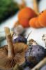 Filename=Mushroom_4316.jpg
Filesize=55KiB
Dimensions=480x720
Date added=Oct 03, 2018 Mushroom_4316.jpg