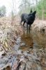 Filename=Nasket_clean-5.jpg
Filesize=220KiB
Dimensions=648x976
Date added=May 01, 2014 Nasket_clean-5.jpg