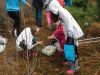 Filename=OHS_Nasketucket_3.jpg
Filesize=144KiB
Dimensions=648x486
Date added=May 08, 2014 OHS_Nasketucket_3.jpg
