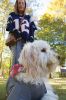 Filename=Oktopurfest_4657.jpg
Filesize=131KiB
Dimensions=480x720
Date added=Oct 22, 2015 Oktopurfest_4657.jpg
