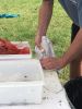Filename=Oyster_7879.jpg
Filesize=124KiB
Dimensions=540x720
Date added=Sep 22, 2021 Oyster_7879.jpg