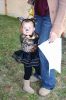 Filename=PLCO_7108.jpg
Filesize=471KiB
Dimensions=1200x1800
Date added=Oct 28, 2009 PLCO_7108.jpg
