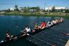 Filename=Phoenix_2.jpg
Filesize=227KiB
Dimensions=1200x801
Date added=Jun 19, 2012 Phoenix_2.jpg
