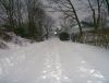 Filename=PlanteSnow1.jpg
Filesize=310KiB
Dimensions=1200x912
Date added=Dec 22, 2009 PlanteSnow1.jpg
