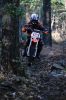 Filename=PlySands_60.jpg
Filesize=163KiB
Dimensions=648x976
Date added=Oct 30, 2013 PlySands_60.jpg