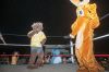Filename=RCF2016_12_.jpg
Filesize=167KiB
Dimensions=1084x720
Date added=Aug 25, 2016 RCF2016_12_.jpg
