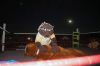 Filename=RCF2016_14_.jpg
Filesize=99KiB
Dimensions=1084x720
Date added=Aug 25, 2016 RCF2016_14_.jpg