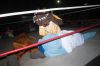 Filename=RCF2016_16_.jpg
Filesize=133KiB
Dimensions=1084x720
Date added=Aug 25, 2016 RCF2016_16_.jpg