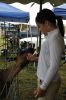 Filename=RCF_S_0517.jpg
Filesize=87KiB
Dimensions=478x720
Date added=Aug 23, 2018 RCF_S_0517.jpg