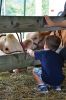 Filename=RCF_S_0572.jpg
Filesize=106KiB
Dimensions=478x720
Date added=Aug 23, 2018 RCF_S_0572.jpg