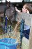 Filename=RCF_S_0599.jpg
Filesize=145KiB
Dimensions=478x720
Date added=Aug 23, 2018 RCF_S_0599.jpg