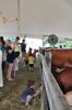 Filename=RCF_S_0613.jpg
Filesize=94KiB
Dimensions=478x720
Date added=Aug 23, 2018 RCF_S_0613.jpg