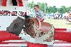 Filename=RCF_Sat_6257.gif
Filesize=203KiB
Dimensions=720x479
Date added=Aug 18, 2015 RCF_Sat_6257.gif