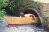 Filename=ROboatRace_4202.jpg
Filesize=295KiB
Dimensions=1080x720
Date added=Jun 03, 2016 ROboatRace_4202.jpg